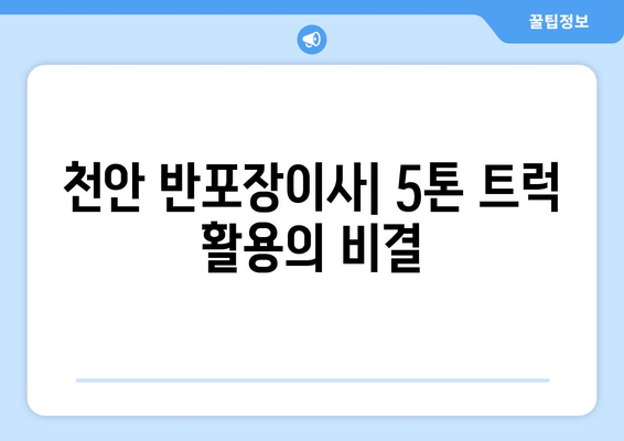 천안 반포장이사| 5톤 트럭 활용의 비결