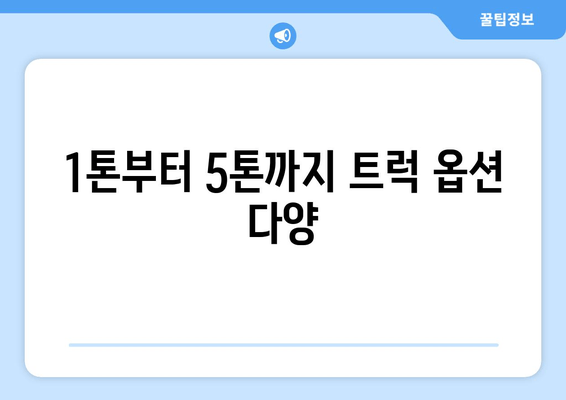 1톤부터 5톤까지 트럭 옵션 다양