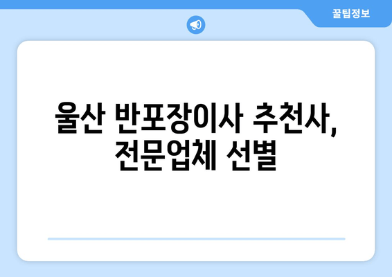 울산 반포장이사 추천사, 전문업체 선별