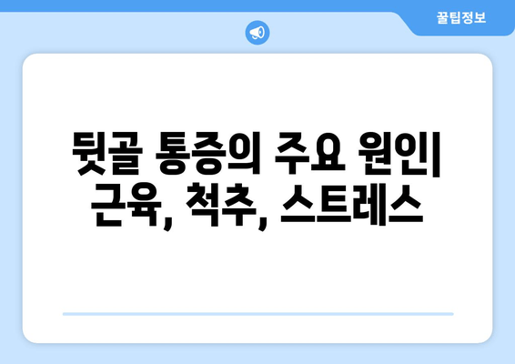 뒷골 땡김, 두통, 눈 통증… 셋은 어떻게 연결될까요? | 뒷골 통증 원인, 두통과의 관계, 눈 통증과의 연관성, 해결 팁