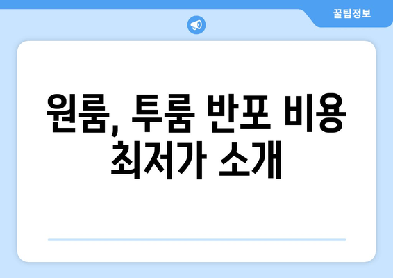 원룸, 투룸 반포 비용 최저가 소개