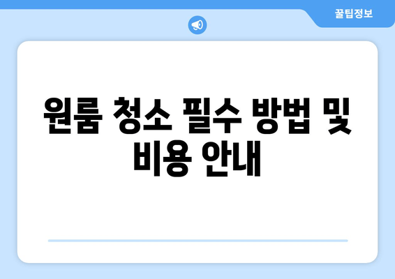 원룸 청소 필수 방법 및 비용 안내
