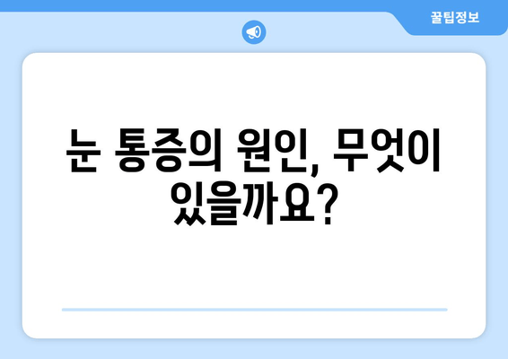 눈 통증 유발 질환| 안과 전문가의 진찰이 필요한 이유 | 눈 통증, 안과 진료, 질환 원인, 치료