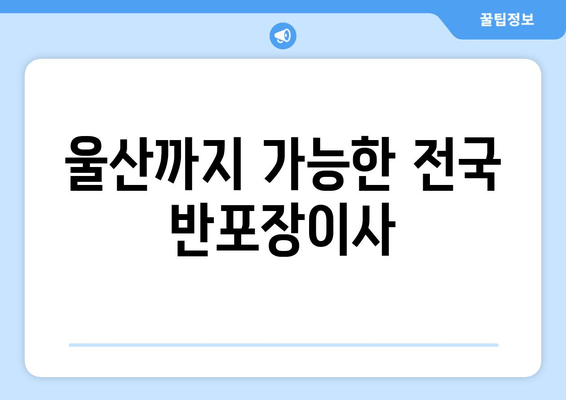 울산까지 가능한 전국 반포장이사