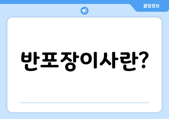반포장이사란?