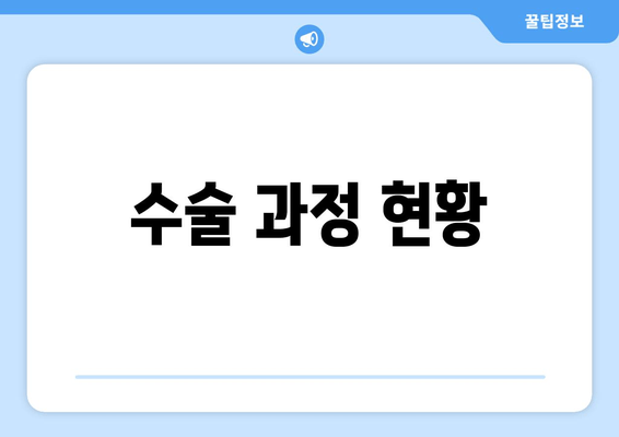 수술 과정 현황