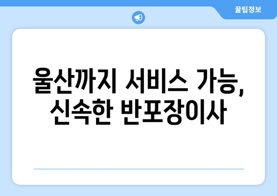 울산까지 서비스 가능, 신속한 반포장이사