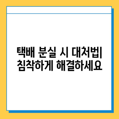 베이징 공항 분실물센터| 택배 아기 애착인형 찾기 완벽 가이드 | 분실물 신고, 찾는 방법, 연락처, 팁