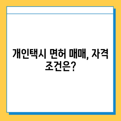 진천군 덕산면 개인택시 면허 매매 가격 & 시세 (번호판, 넘버값) | 자격조건, 월수입, 양수교육