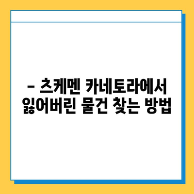 츠케멘 카네토라에서 유실물 찾기| 상세 가이드 | 유실물, 분실물, 찾는 방법, 연락처, 절차