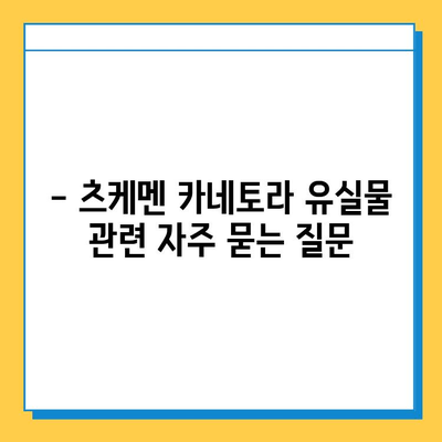 츠케멘 카네토라에서 유실물 찾기| 상세 가이드 | 유실물, 분실물, 찾는 방법, 연락처, 절차