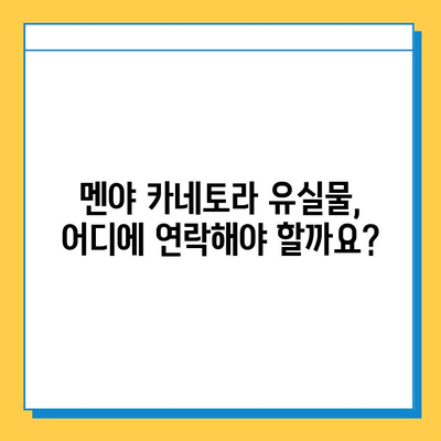 멘야 카네토라 츠케멘 유실물 찾기| 신고부터 찾는 방법까지 | 유실물, 분실물, 신고, 멘야 카네토라