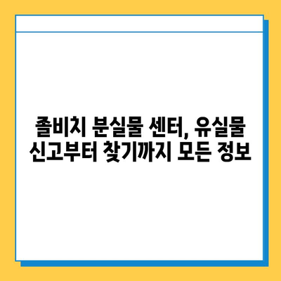 졸비치 분실물 센터 유실물 찾기| 홈페이지 활용 가이드 | 분실물 신고, 조회, 찾는 방법, 유실물센터