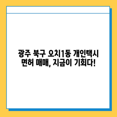 광주 북구 오치1동 개인택시 면허 매매 가격| 오늘 시세, 넘버값, 자격조건, 월수입, 양수교육 |  전문 정보
