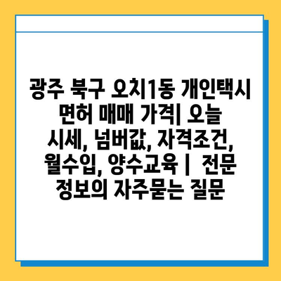광주 북구 오치1동 개인택시 면허 매매 가격| 오늘 시세, 넘버값, 자격조건, 월수입, 양수교육 |  전문 정보
