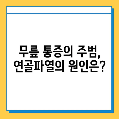 연골파열, 가볍게 여기면 안 되는 심각한 문제| 증상, 원인, 치료 및 예방 | 연골, 무릎 통증, 운동 부상, 재활