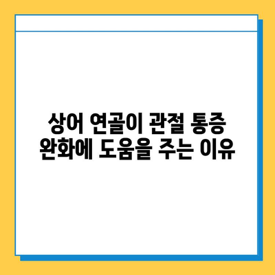상어 연골로 관절 건강 회복| 관절염 증상 완화에 효과적인 방법 | 상어 연골, 관절염, 건강 정보, 통증 완화