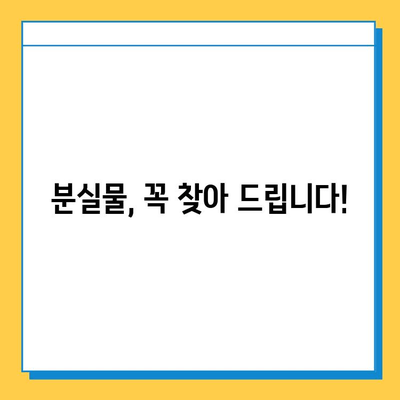 한강에서 분실물 찾기! 한강콜센터 연락처 & 분실물 찾는 방법 | 한강, 분실물, 콜센터, 연락처, 안내