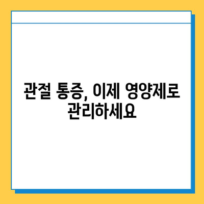 관절 연골 건강, 현명한 선택을 위한 영양제 가이드 | 관절 통증, 연골 재생, 건강 기능성, 추천 제품