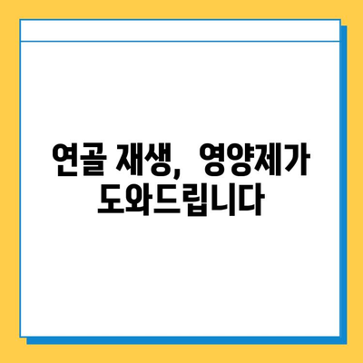 관절 연골 건강, 현명한 선택을 위한 영양제 가이드 | 관절 통증, 연골 재생, 건강 기능성, 추천 제품