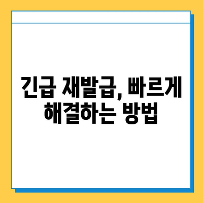 일본 여권 분실, 긴급 재발급 & 도쿄 지하철 분실물 센터 활용 가이드 | 여권 분실, 일본 여행, 긴급 재발급, 도쿄 지하철, 분실물 센터
