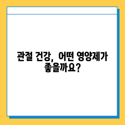 관절 연골 건강, 현명한 선택을 위한 영양제 가이드 | 관절 통증, 연골 재생, 건강 기능성, 추천 제품