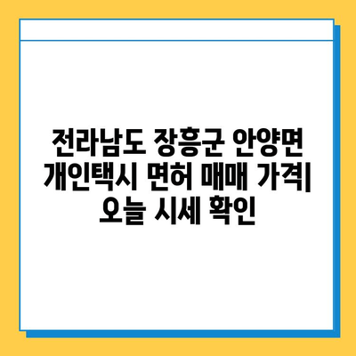 전라남도 장흥군 안양면 개인택시 면허 매매 가격| 오늘 시세 확인 및 자격, 월수입, 양수교육 정보 |  번호판, 넘버값, 면허 취득
