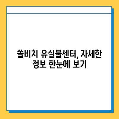 쏠비치에서 물건을 잃어버렸나요? 유실물 찾는 방법 총정리 | 쏠비치 분실물센터, 유실물 정보, 찾는 방법, 연락처