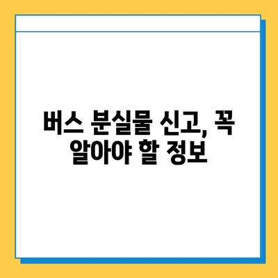 버스에서 소지품을 잃어버렸을 때? 당황하지 말고 이렇게 해보세요! | 분실물, 대처법, 찾는 방법