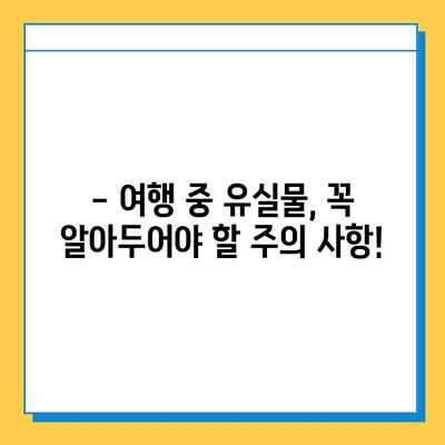 여행 중 유실물, 당황하지 마세요! 똑똑하게 찾는 방법 가이드 | 유실물 신고, 보상, 예방 팁