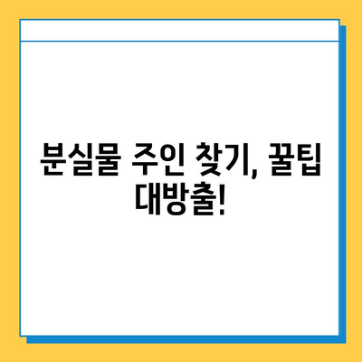 분실물 주인 찾기| 소유권 증명 방법 총정리 | 분실물, 소유권 확인, 증명 방법, 절차, 팁