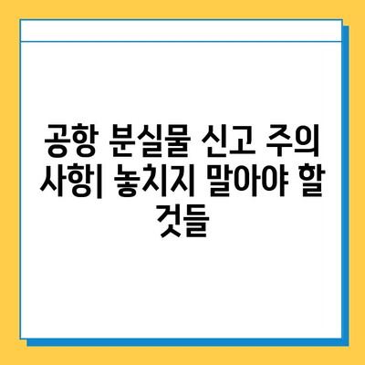 공항 분실물 찾기 완벽 가이드| 여행 중 물건 잃어버렸을 때 | 분실물 신고, 찾는 방법, 주의 사항, 꿀팁