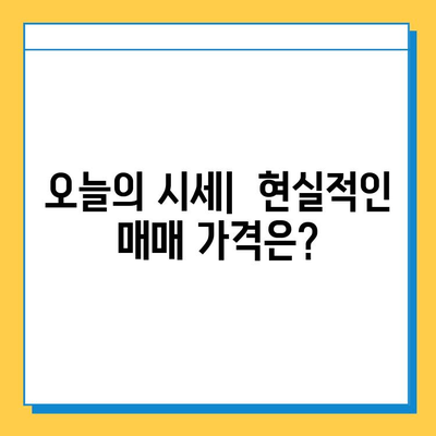 대전 서구 용문동 개인택시 면허 매매 가격| 오늘 시세 & 자격조건 | 월수입 & 양수교육