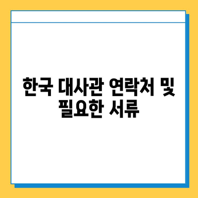 일본 여행 중 여권 분실, 당황하지 마세요! | 여권 재발급, 신고, 대사관 연락처, 주의사항