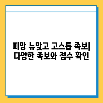 피망 뉴맞고 고스톱 점수 계산법 완벽 정복| 규칙, 족보, 고급 전략까지! | 피망 뉴맞고, 고스톱, 점수 계산, 족보, 규칙, 전략