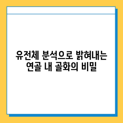 연골 내 골화의 유전적 요인 탐구| 새로운 치료 전략의 가능성 | 유전체 분석, 골격 질환, 재생 의학