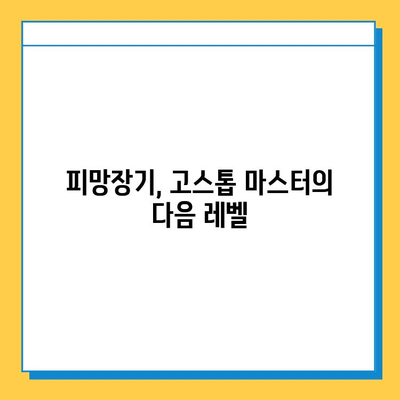 무료 고스톱 게임 마스터를 위한 피망장기 완벽 가이드 | 고스톱 게임, 피망장기, 무료 게임, 게임 전략