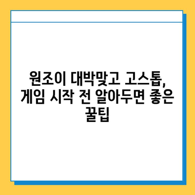 원조이 대박맞고 고스톱 다운로드 완벽 가이드 | 무료 다운로드, 게임 설치, 꿀팁