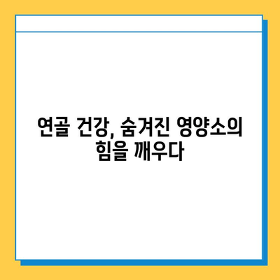 연골 건강 지키는 숨겨진 영양소| 연골 강화 영양의 힘 | 관절 건강, 영양 정보, 건강 관리 팁