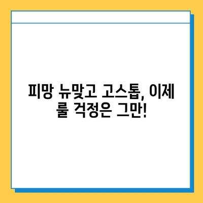 피망 뉴맞고 고스톱 완벽 마스터| 점수 계산 & 규칙 정리 | 게임 가이드, 고스톱, 점수 계산법, 규칙