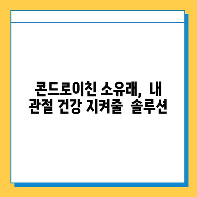 관절 연골 보호를 위한 콘드로이친 소유래 후기| 솔직한 사용 경험 공유 | 관절 건강, 연골 재생, 건강 기능 식품, 솔직 후기