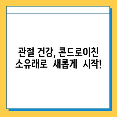 관절 연골 보호를 위한 콘드로이친 소유래 후기| 솔직한 사용 경험 공유 | 관절 건강, 연골 재생, 건강 기능 식품, 솔직 후기