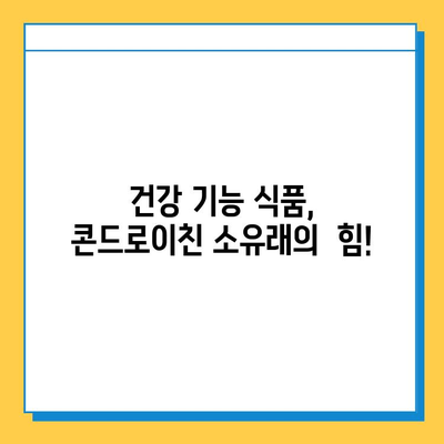 관절 연골 보호를 위한 콘드로이친 소유래 후기| 솔직한 사용 경험 공유 | 관절 건강, 연골 재생, 건강 기능 식품, 솔직 후기