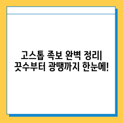 피망 뉴맞고 고스톱 점수 계산 & 족보 완벽 정리 | 고스톱 점수 계산, 족보, 게임 팁