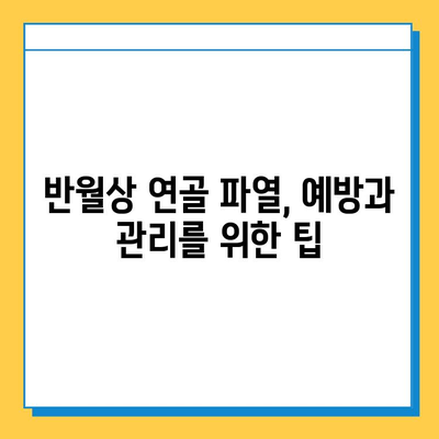 반월상 연골 파열, 수술이 꼭 필요할까요? 시기 적절한 치료 판단 가이드 | 반월상 연골 파열, 치료, 수술, 재활