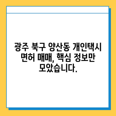 광주 북구 양산동 개인택시 면허 매매 시세| 오늘 가격, 넘버값, 자격조건, 월수입, 양수교육 | 상세 정보