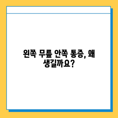 왼쪽 무릎 안쪽 통증의 원인과 연골 관리 가이드 | 무릎 통증, 연골 손상, 운동, 재활