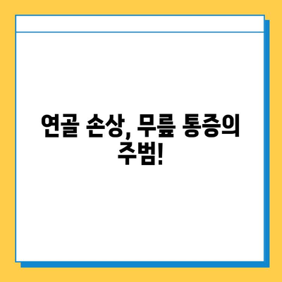 왼쪽 무릎 안쪽 통증의 원인과 연골 관리 가이드 | 무릎 통증, 연골 손상, 운동, 재활