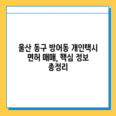 울산 동구 방어동 개인택시 면허 매매 가격| 오늘 시세 & 넘버값, 자격조건, 월수입, 양수교육 | 핵심 정보 총정리