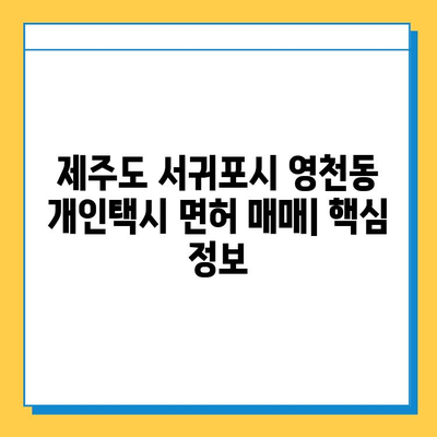 제주도 서귀포시 영천동 개인택시 면허 매매| 오늘 시세 & 넘버값 | 자격조건, 월수입, 양수교육